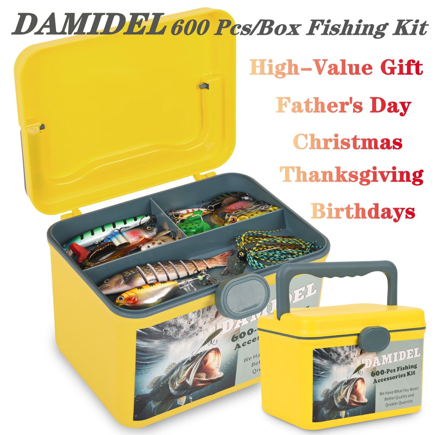 DAMIDEL 600 Pcs/Tackle Box Fishing Kit-Fishing Hooks,Sinkers, Swivels Snaps,Top Water Lure,Spoons,Soft Lures,Jig Heads, Frogs, Minnow, Accessories Equipment- Saltwater Freshwater Bass Bait Gear