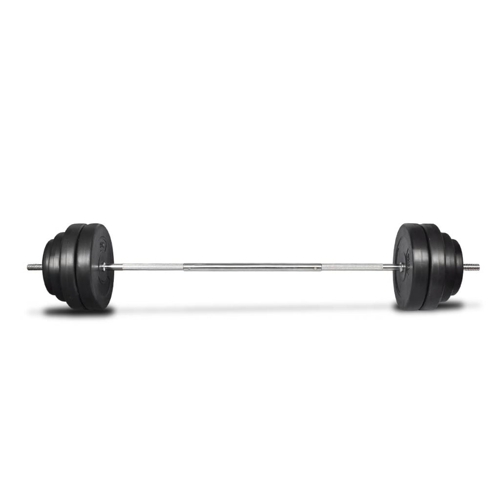 vidaXL Barbell with Plates Set 132.3 lb-1