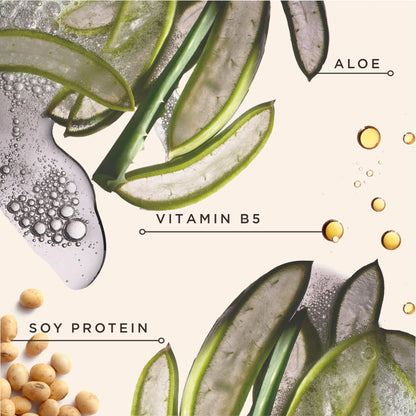 Carol's Daughter Black Vanilla Leave In Conditioner for Curly, Wavy or Natural Hair, Moisturizing Hair Care for Dry, Dull or Brittle Hair, 8 Fl Oz