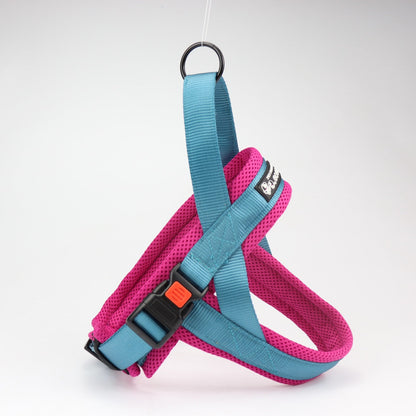 Pet Chest Harness and Leash Set-4