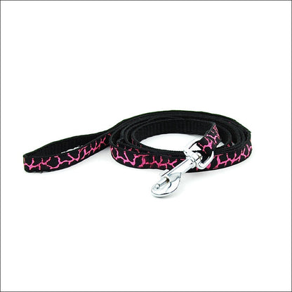 Pet Chest Strap and Leash Set-2