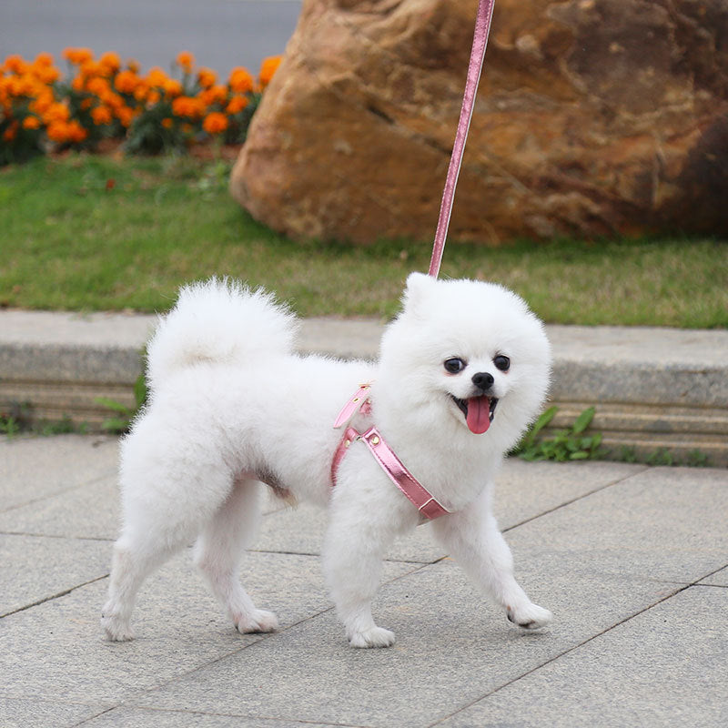 Traction Suit Chest Strap Dog Leash-1