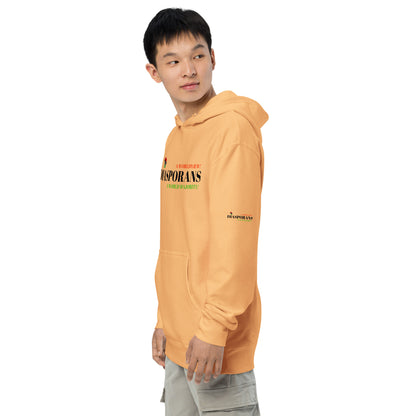 DIASPORANS  A WORLDVIEW A WORLD MAJORITY Unisex Midweight Hoodie by SobG Designs