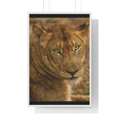 CLOSE TO AN AFRICAN LIONESS Premium Framed Vertical Poster by SobG Designs