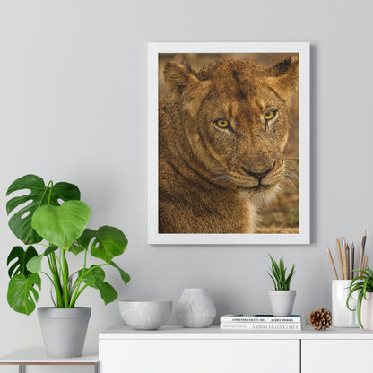CLOSE TO AN AFRICAN LIONESS Premium Framed Vertical Poster by SobG Designs