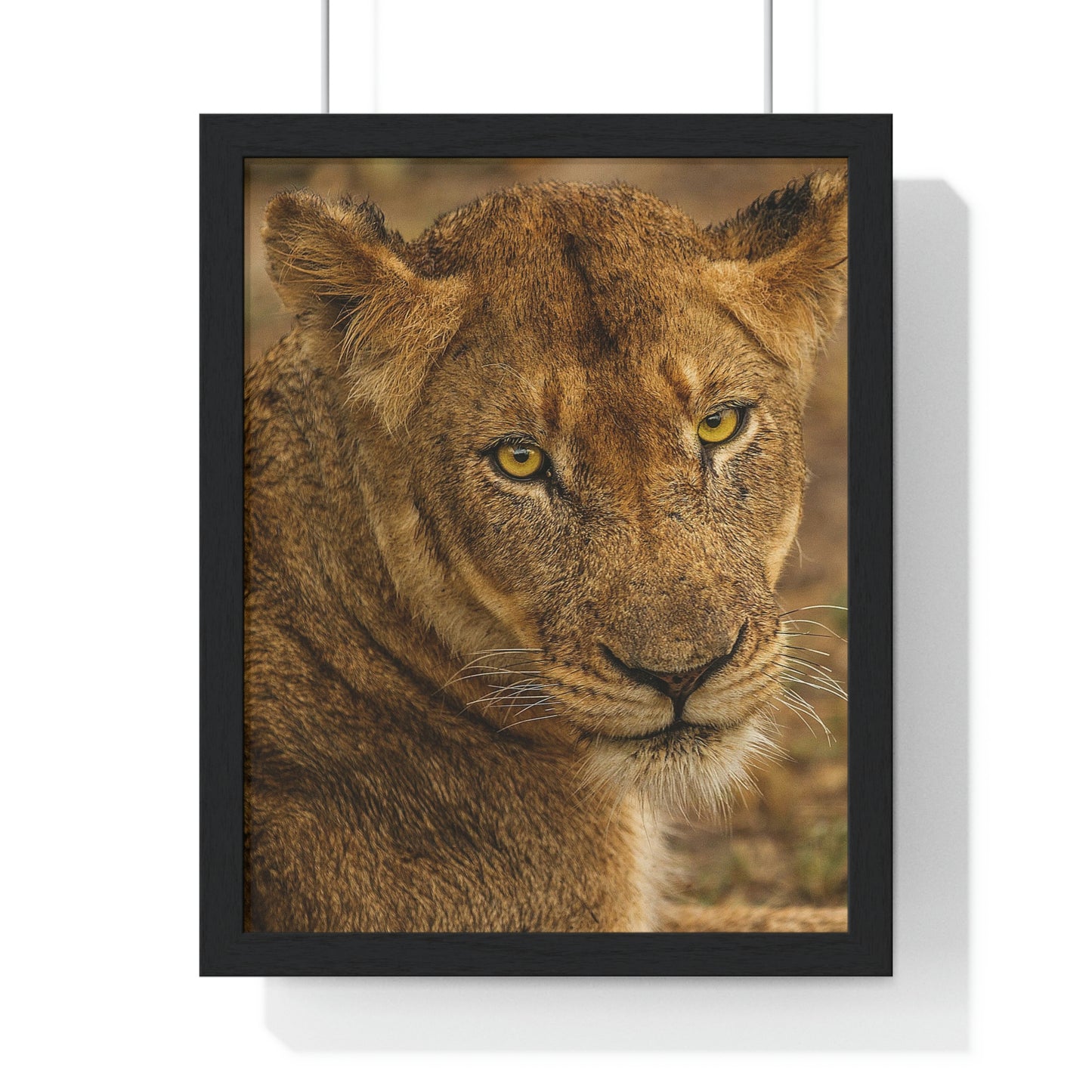 CLOSE TO AN AFRICAN LIONESS Premium Framed Vertical Poster by SobG Designs