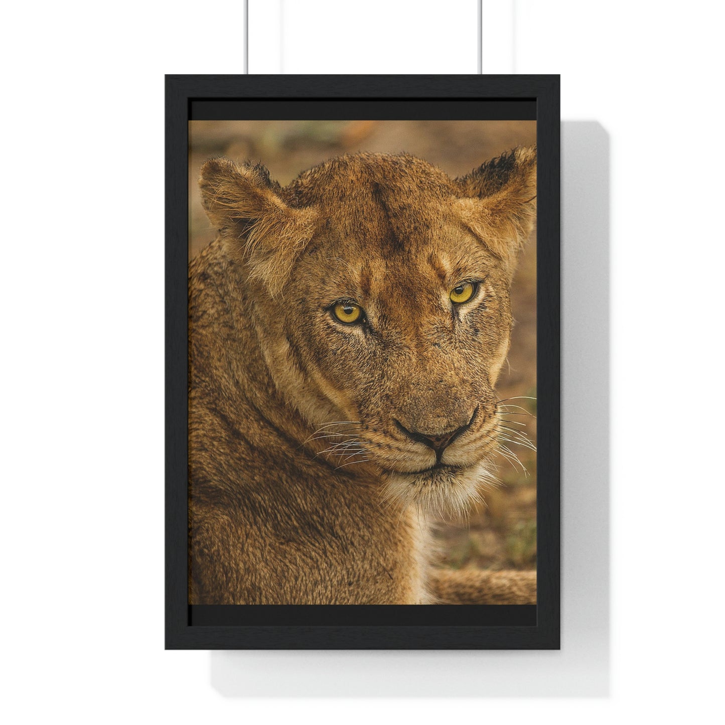 CLOSE TO AN AFRICAN LIONESS Premium Framed Vertical Poster by SobG Designs