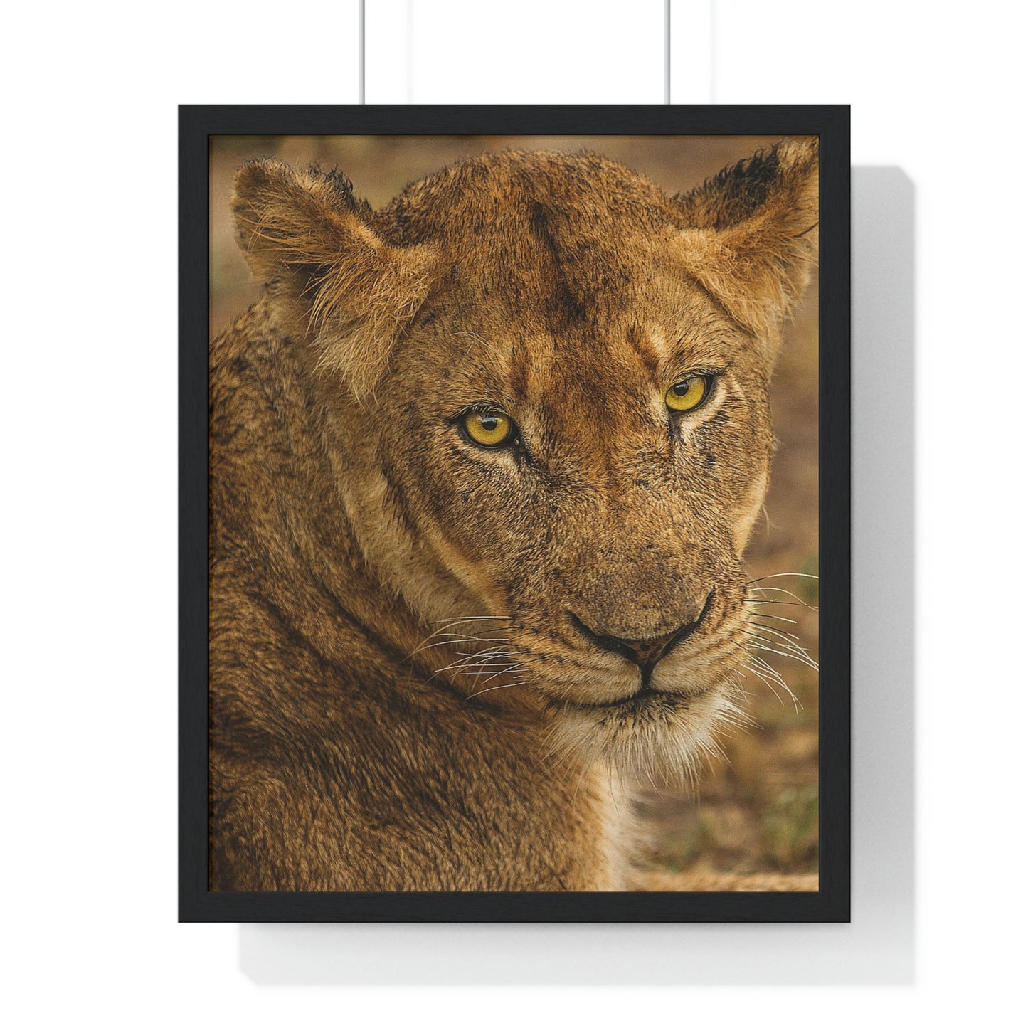 CLOSE TO AN AFRICAN LIONESS Premium Framed Vertical Poster by SobG Designs