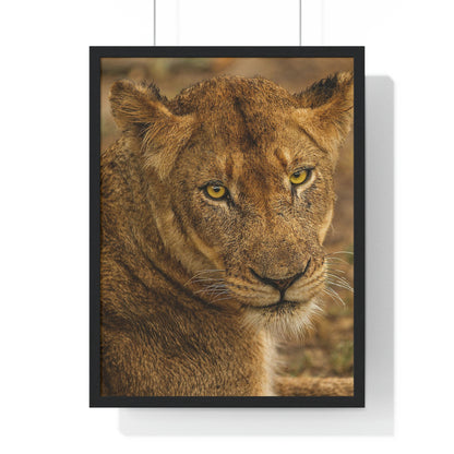 CLOSE TO AN AFRICAN LIONESS Premium Framed Vertical Poster by SobG Designs