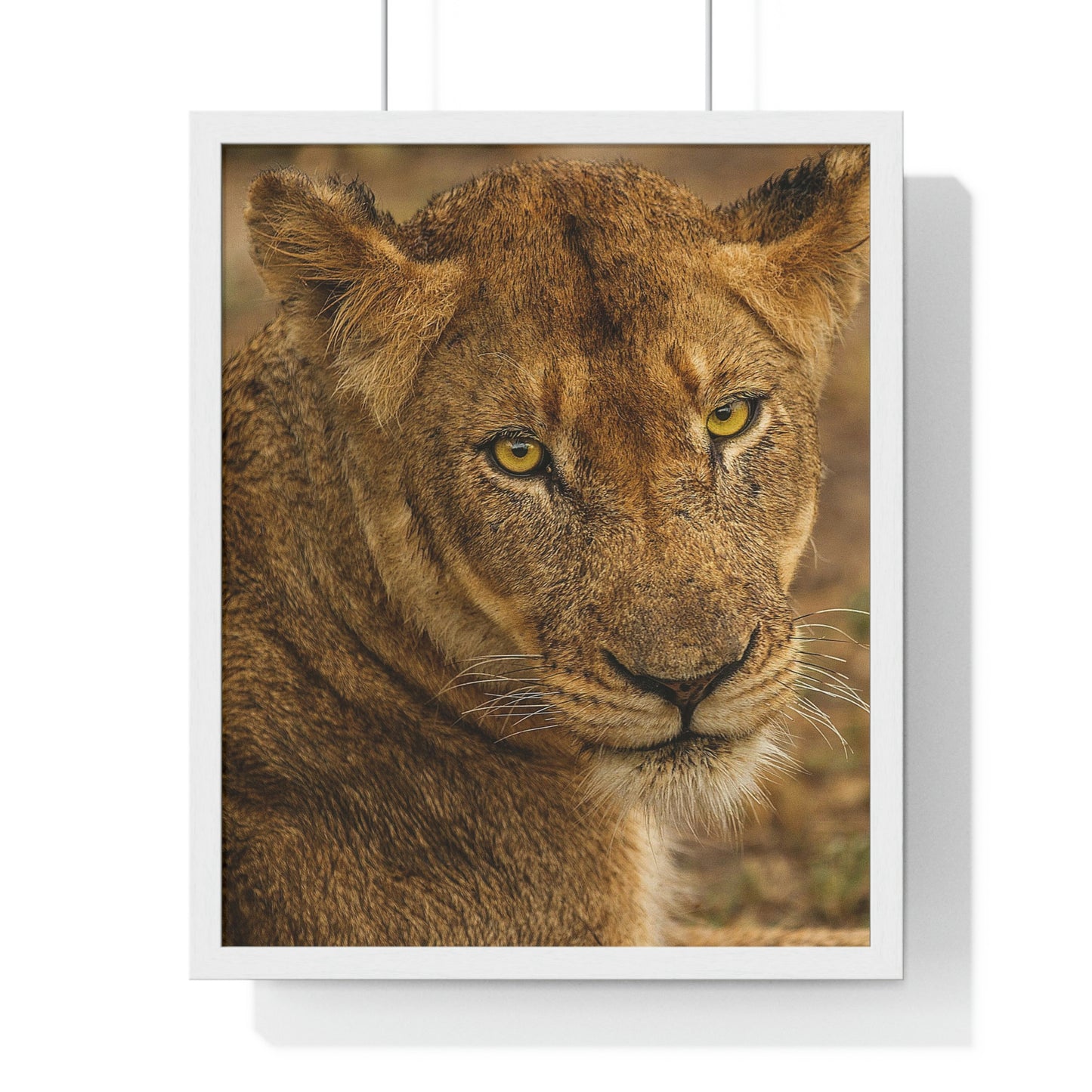 CLOSE TO AN AFRICAN LIONESS Premium Framed Vertical Poster by SobG Designs