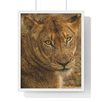 CLOSE TO AN AFRICAN LIONESS Premium Framed Vertical Poster by SobG Designs
