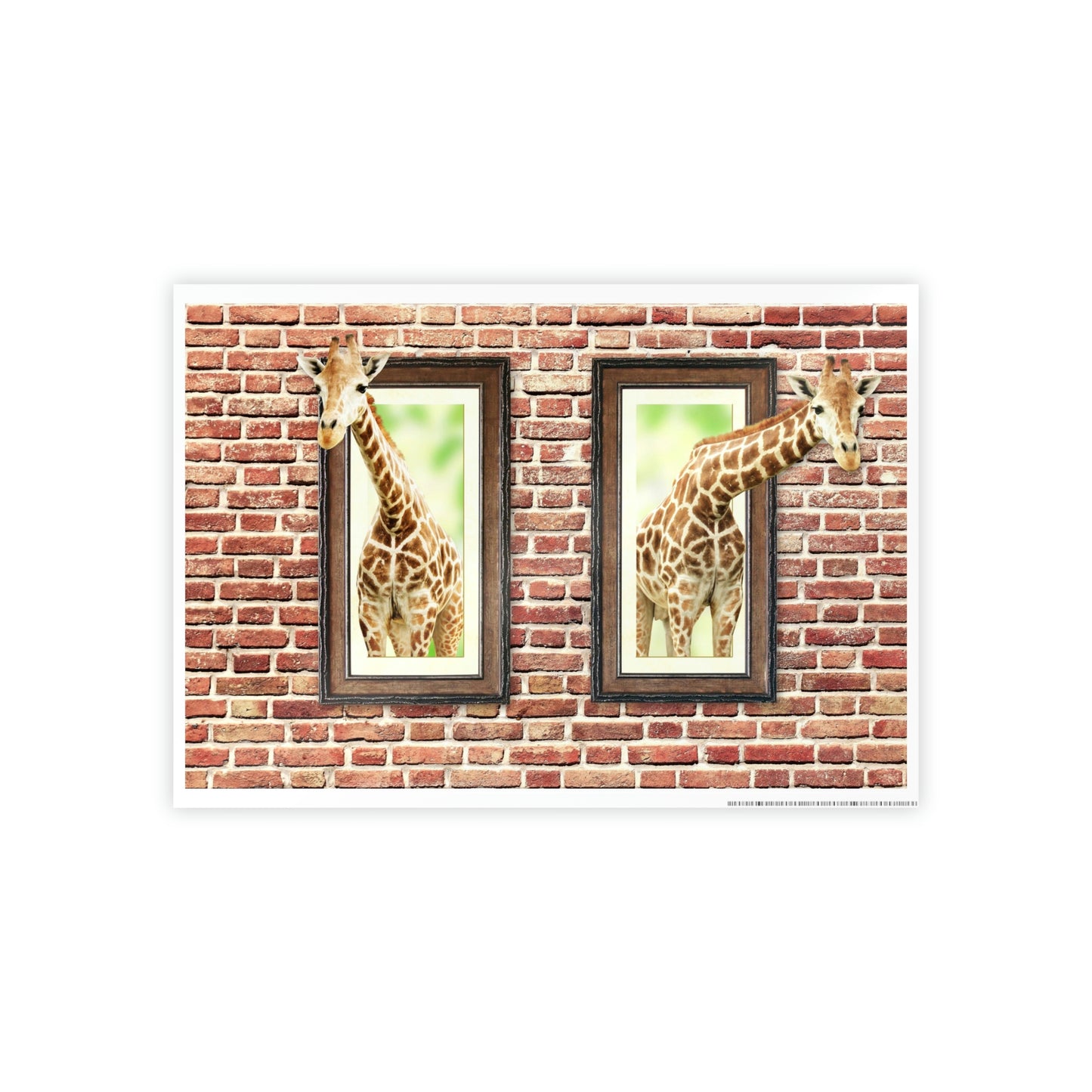 TWO GIRAFFES LOOKING IN by SobG Designs
