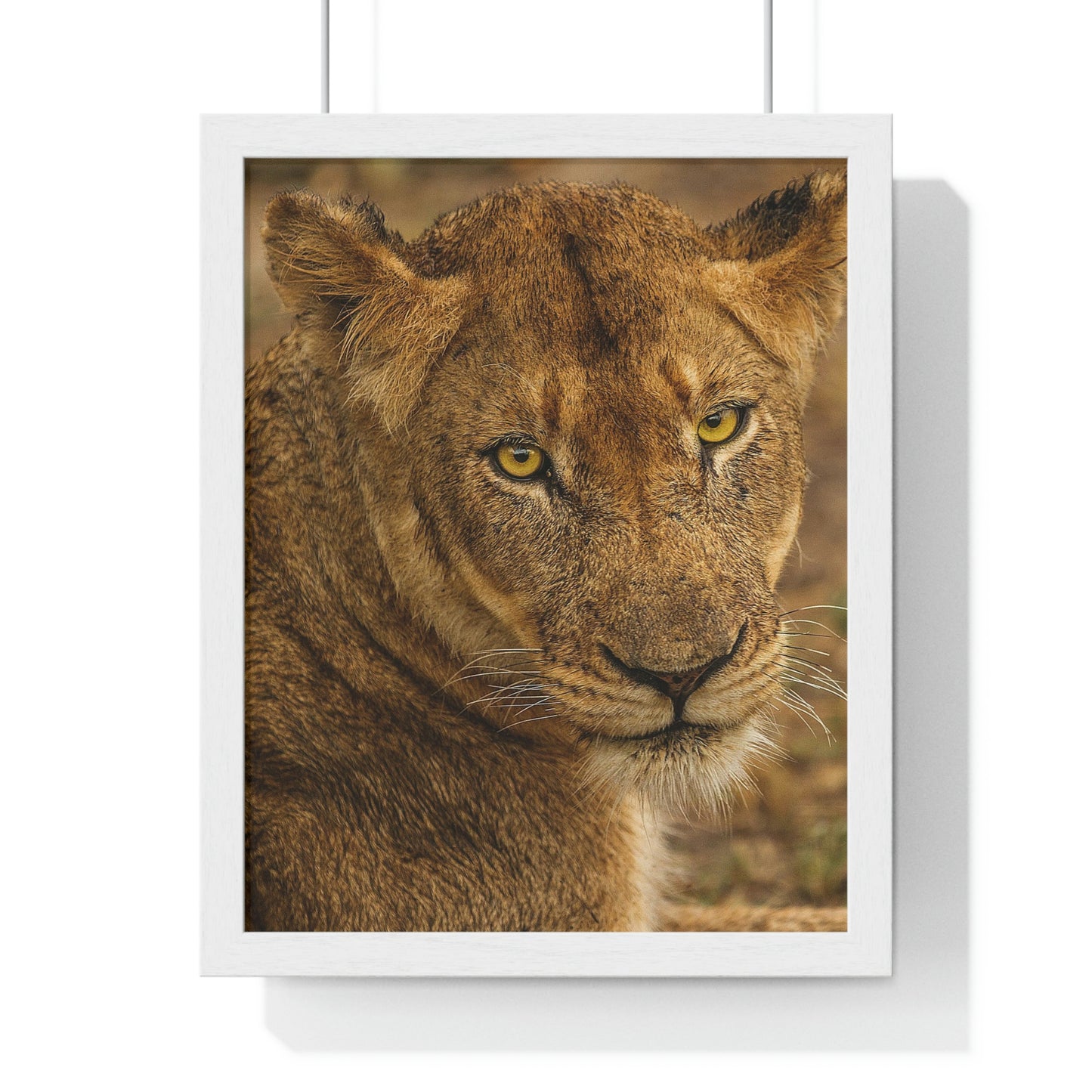 CLOSE TO AN AFRICAN LIONESS Premium Framed Vertical Poster by SobG Designs
