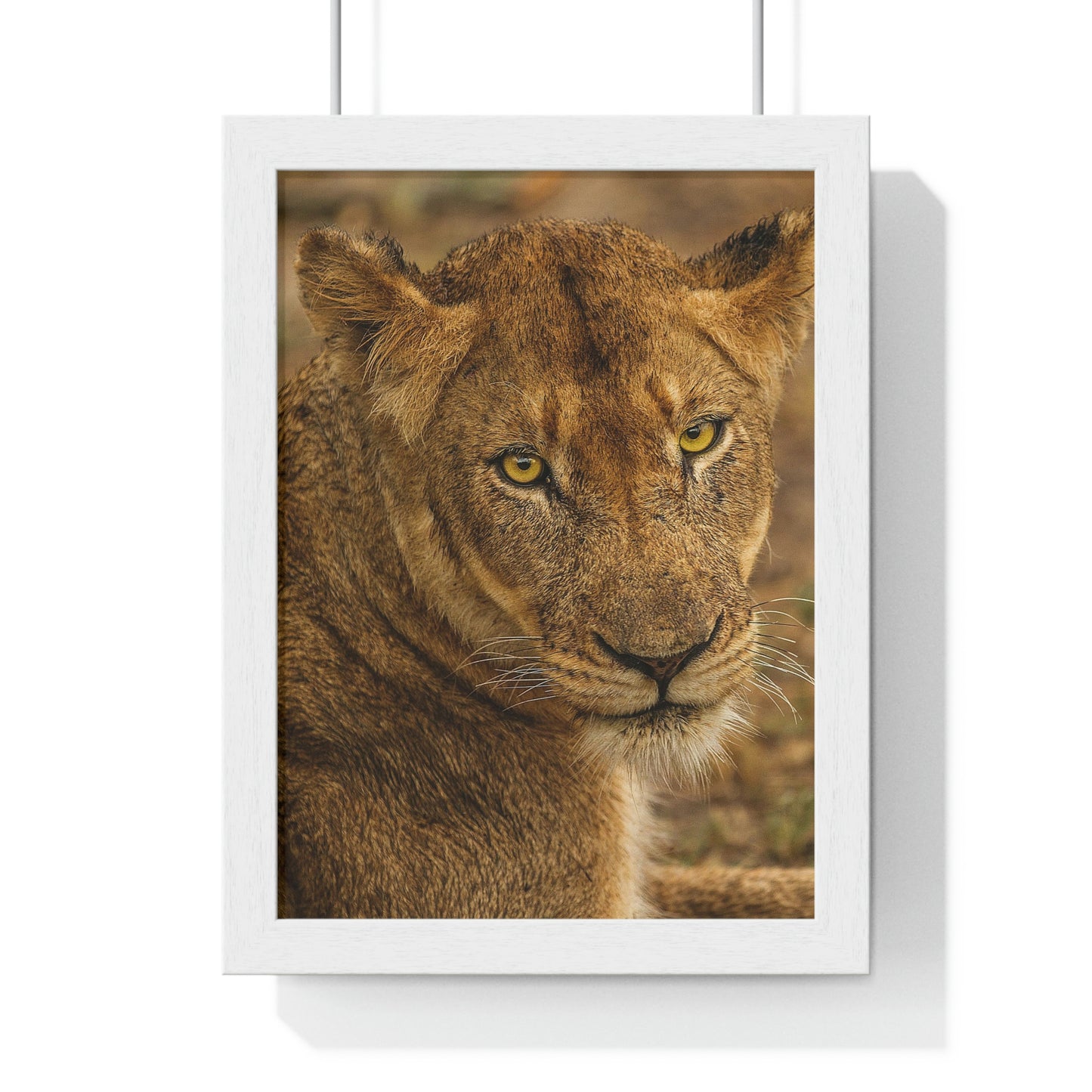 CLOSE TO AN AFRICAN LIONESS Premium Framed Vertical Poster by SobG Designs