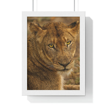 CLOSE TO AN AFRICAN LIONESS Premium Framed Vertical Poster by SobG Designs