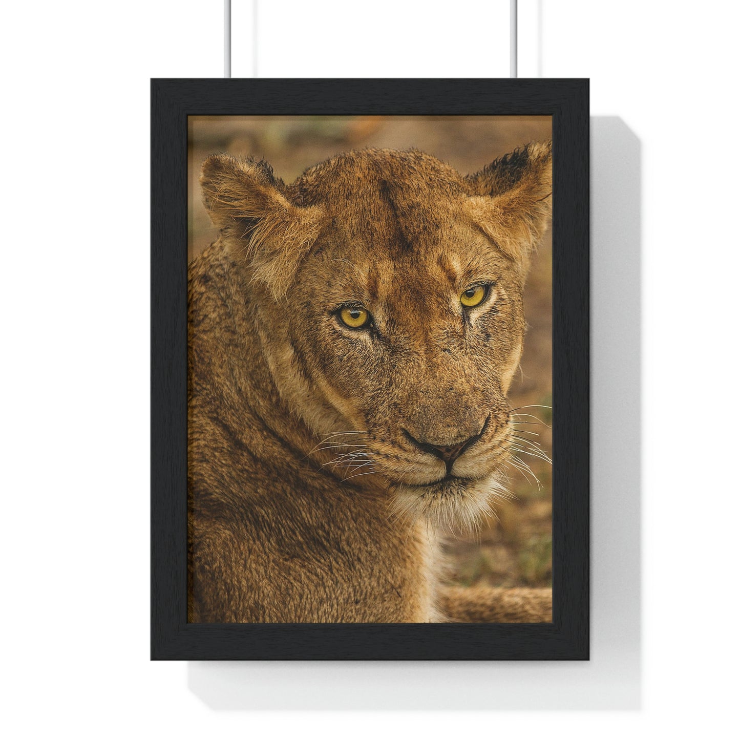 CLOSE TO AN AFRICAN LIONESS Premium Framed Vertical Poster by SobG Designs