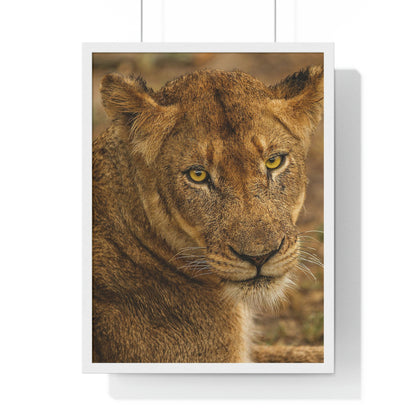 CLOSE TO AN AFRICAN LIONESS Premium Framed Vertical Poster by SobG Designs
