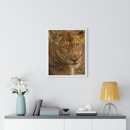 CLOSE TO AN AFRICAN LIONESS Premium Framed Vertical Poster by SobG Designs