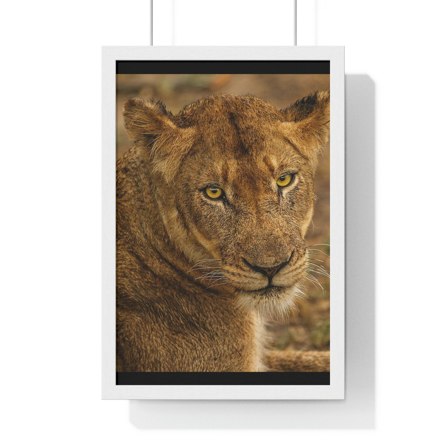 CLOSE TO AN AFRICAN LIONESS Premium Framed Vertical Poster by SobG Designs